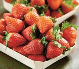 Intermarché Express Saint-Pons-de-Thomières - Promo Fraise Ronde Promo Fraise Ronde à 2,99 € dans le catalogue Intermarché Express à Saint-Pons-de-Thomières