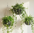 CACHE-POT À SUSPENDRE - Gifi CACHE-POT À SUSPENDRE à 3,95 € dans le catalogue Gifi