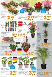 Aktueller Globus-Baumarkt Prospekt mit Gemüse, "Immer eine Idee besser", Seite 6
