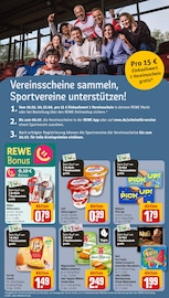 Schnitzel Angebote im Prospekt "Dein Markt" von REWE Schnitzel Angebote im Prospekt "Dein Markt" von REWE auf Seite 4