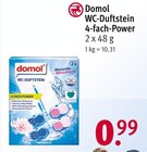 WC-Duftstein Angebote von Domol bei Rossmann Frankfurt für 0,99 €
