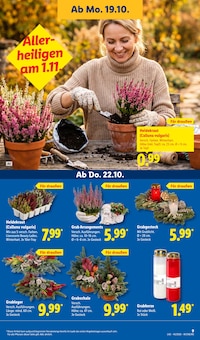 Kerzen im aktuellen Lidl Prospekt (Würzburg) Kerzen im Lidl Prospekt "LIDL LOHNT SICH" mit 71 Seiten (Würzburg)