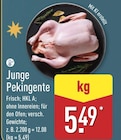 Junge Pekingente im ALDI Nord Prospekt Junge Pekingente im aktuellen ALDI Nord Prospekt für 5,49 €