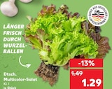 Aktuelles Dtsch. Multicolor-Salat Angebot bei Kaufland in Duisburg ab 1,29 €