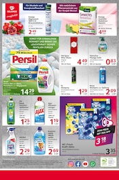 Aktueller Selgros Prospekt mit WC Reiniger, "cash & carry", Seite 24