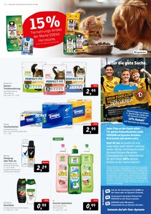 Katzenfutter im aktuellen Konsum Prospekt (Dresden) Katzenfutter im Konsum Prospekt "Aktuelle Angebote" mit 12 Seiten (Dresden)