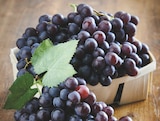 Promo Raisin Noir AOP à 2,99 € dans le catalogue Intermarché à Riantec