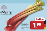 combi Garrel - Rhabarber Angebot im Prospekt Rhabarber bei combi im Garrel Prospekt für 1,99 €