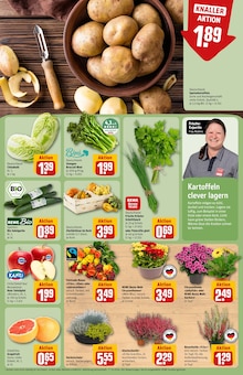 Pflanzen im aktuellen REWE Prospekt (Kiel) Pflanzen im REWE Prospekt "Dein Markt" mit 44 Seiten (Kiel)