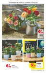 Bouquet De Fleurs Bouquet De Fleurs