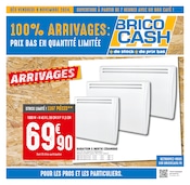 Catalogue Bricolage Brico Cash en cours à Migné-Auxances et alentours, "100% ARRIVAGES : PRIX BAS EN QUANTITÉ LIMITÉE", 8 pages, 08/11/2024 - 21/11/2024