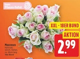 Moosrosen für 2,99 € bei E center im Angebot Moosrosen im aktuellen E center Prospekt
