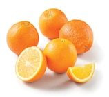 Lidl La Côte-Saint-André - Promo Orange à jus Promo Orange à jus à 1,25 € dans le catalogue Lidl à La Côte-Saint-André
