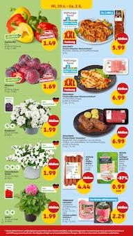 Pflanzen im Penny Prospekt "Wer günstig will, muss Penny." mit 46 Seiten (Ulm)