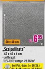 Aktuelles Scalpellinata Angebot bei Hornbach in Hamm ab 6,45 €