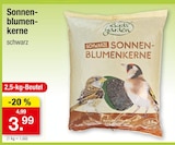 Schwarze Sonnenblumenkerne im Angebot bei Zimmermann in Peine Schwarze Sonnenblumenkerne Angebote von Birds' Garden bei Zimmermann Peine für 3,99 €