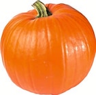 Speisekürbis Halloween im Angebot bei CAP Markt Neubrandenburg in Neubrandenburg Speisekürbis Halloween Angebote bei CAP Markt Neubrandenburg Neubrandenburg für 4,99 €