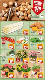 Pflanzen Angebot & Preis im aktuellen REWE Prospekt Pflanzen Angebot im aktuellen REWE Prospekt auf Seite 7