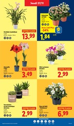 Offre Décoration Extérieure dans le catalogue Lidl du moment à la page 39