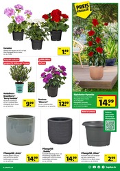 Aktueller Hagebaumarkt Prospekt mit Blumentopf, "So günstig geht das!", Seite 3