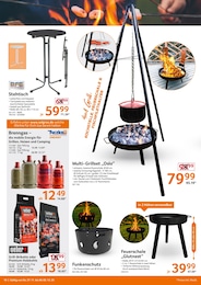 Selgros Kamin im Prospekt 