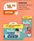 Windeln von PAMPERS im aktuellen Müller Prospekt für 16,99 €