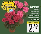 Geranien von  im aktuellen EDEKA Prospekt für 2,49 €