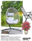 Hängekorb Cocoon bei BayWa Bau- und Gartenmärkte im Prospekt "" für 199,99 €