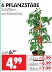 Pflanzstäbe im Angebot bei Wreesmann in Dresden Pflanzstäbe Angebote bei Wreesmann Dresden für 4,99 €
