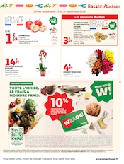 Promos Orchidée dans le catalogue "LA RENTRÉE À PRIX K.O." de Auchan Supermarché Orchidée en promo dans le catalogue Auchan Supermarché à la page 11