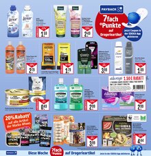 Lenor im aktuellen Marktkauf Prospekt (Offenbach (Main)) Lenor im Marktkauf Prospekt "Aktuelle Angebote" mit 48 Seiten (Offenbach (Main))