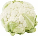 Marktkauf Kirchheim - Blumenkohl Angebot im Prospekt Blumenkohl bei Marktkauf im Kirchheim Prospekt für 1,49 €