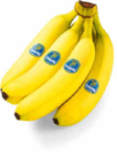 Aktuelle Bananen Angebote bei Netto Marken-Discount in Wuppertal Aktuelles Bananen Angebot bei Netto Marken-Discount in Wuppertal ab 1,99 €