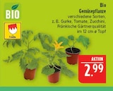 Aktuelles Bio Gemüsepflanze Angebot bei Marktkauf in Leipzig ab 2,99 €