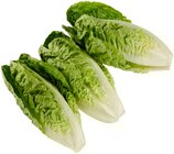 Romana Salatherzen für 1,49 € bei REWE im Angebot Romana Salatherzen im aktuellen REWE Prospekt