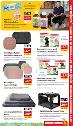 Futternapf Angebot im aktuellen DAS FUTTERHAUS Prospekt auf Seite 3