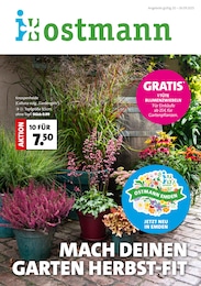 Blumen Ostmann Prospekt für Bassum: "MACH DEINEN GARTEN HERBST-FIT", 8 Seiten, 20.09.2025 - 26.09.2025
