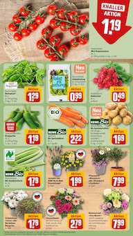 Kartoffeln im aktuellen REWE Prospekt (Bergisch Gladbach) Kartoffeln im REWE Prospekt "Dein Markt" mit 20 Seiten (Bergisch Gladbach)