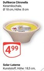 Aktuelle Kerzen Angebote bei GLOBUS in Ludwigshafen (Rhein) Aktuelles Duftkerze Citronella Angebot bei GLOBUS in Ludwigshafen (Rhein) ab 4,99 €