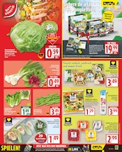 Ähnliche Schwarzer Pfeffer Angebote im Prospekt "Aktuelle Angebote" von EDEKA Ähnliches Angebot bei EDEKA in Prospekt "Aktuelle Angebote" gefunden auf Seite 3
