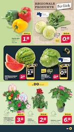 Salat Angebot & Preis im aktuellen Netto mit dem Scottie Prospekt Salat Angebot im aktuellen Netto mit dem Scottie Prospekt auf Seite 3