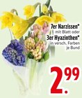 7er Narzissen oder 3er Hyazinthen von  im aktuellen EDEKA Prospekt für 2,99 €