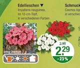 Edellieschen für 2,29 € bei V-Markt im Angebot Edellieschen im aktuellen V-Markt Prospekt