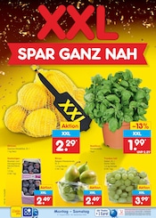 Ähnliche Hibiskus Angebote im Prospekt "Aktuelle Angebote" von Netto Marken-Discount in Oldenburg Ähnliche Angebote wie Hibiskus im Prospekt "Aktuelle Angebote" auf Seite 12 von Netto Marken-Discount in Oldenburg