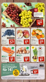 Staubsauger im nahkauf Prospekt "nichts liegt näher" mit 8 Seiten (Wuppertal)