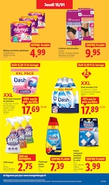 Offre Jardinage dans le catalogue Lidl du moment à la page 21