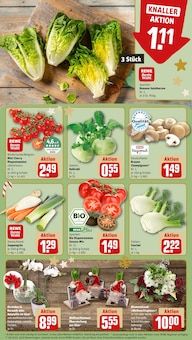 Blumen im aktuellen REWE Prospekt (Augsburg) Blumen im REWE Prospekt "Dein Markt" mit 22 Seiten (Augsburg)