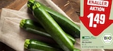 Bio Zucchini Angebote von REWE Bio bei REWE Gütersloh für 1,49 €