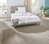 Premium Feder-/Daunen-Kopfkissen von Balette für 24,99 € bei Lidl im Angebot Premium Feder-/Daunen-Kopfkissen von Balette im aktuellen Lidl Prospekt