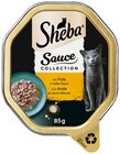 Katzennahrung im Angebot bei nahkauf in Waiblingen Katzennahrung Angebote von Sheba bei nahkauf Waiblingen für 0,49 €
